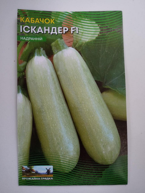 Кабачок "Іскандер F1" 5 гр Харків - фото 1
