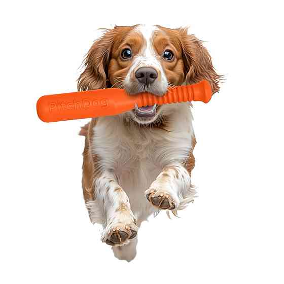 Ігрова бита для апортировки PitchDog, довжина 35 см, діаметр 6 см помаранчевий Київ