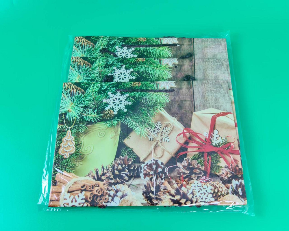 Паперові пакети великий горизонтальний 36/22/10 nBG-08 (12 шт) Харків - фото 2