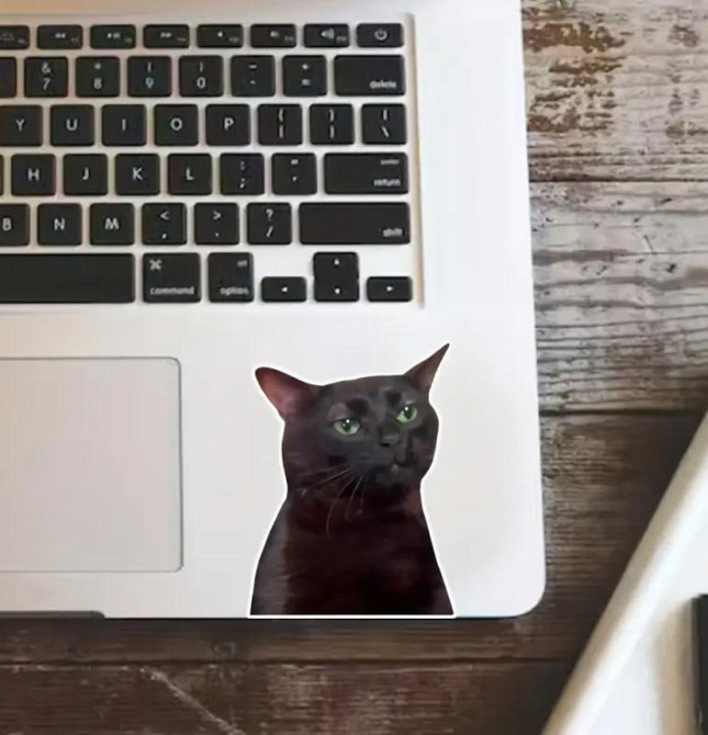 Набор водонепроницаемых наклеек с черным котом (2 шт.) – виниловые стикеры для авто, ноутбука, стек. Киев - изображение 4