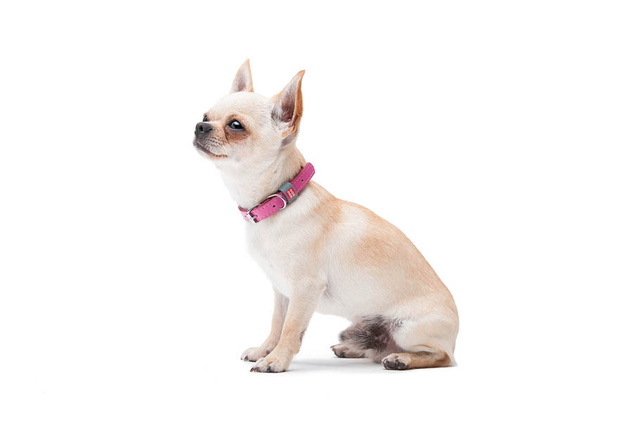 Нашийник для собак шкіряний WAUDOG Classic, Ш 12 мм, Дов 19-25 см рожевий Коломия - фото 2