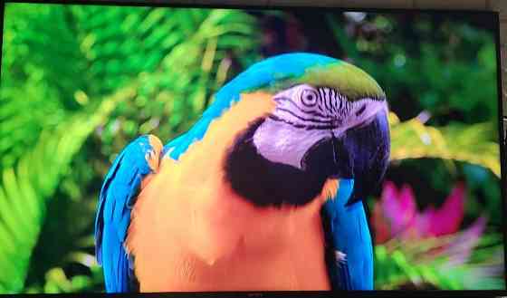 Телевізор SONY 65" Київ