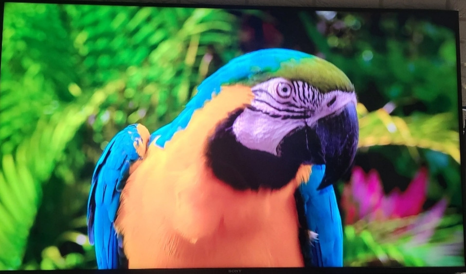 Телевізор SONY 65" Київ - фото 5