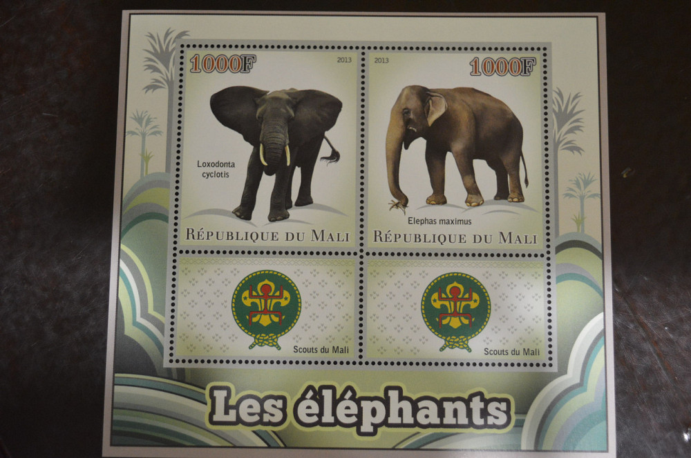 Мали. Марки. Фауна. Блок. 2013 год (В-3) Полтава - изображение 1