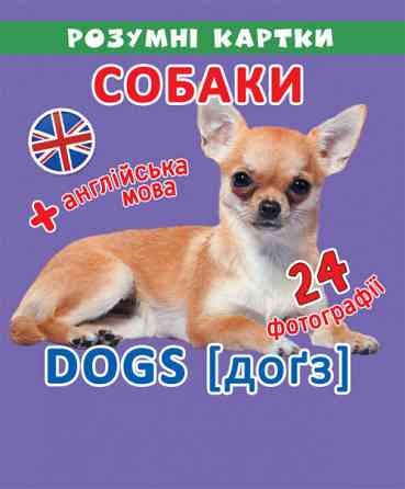 Розумні картки. Собаки. 12 карток, шт Киев