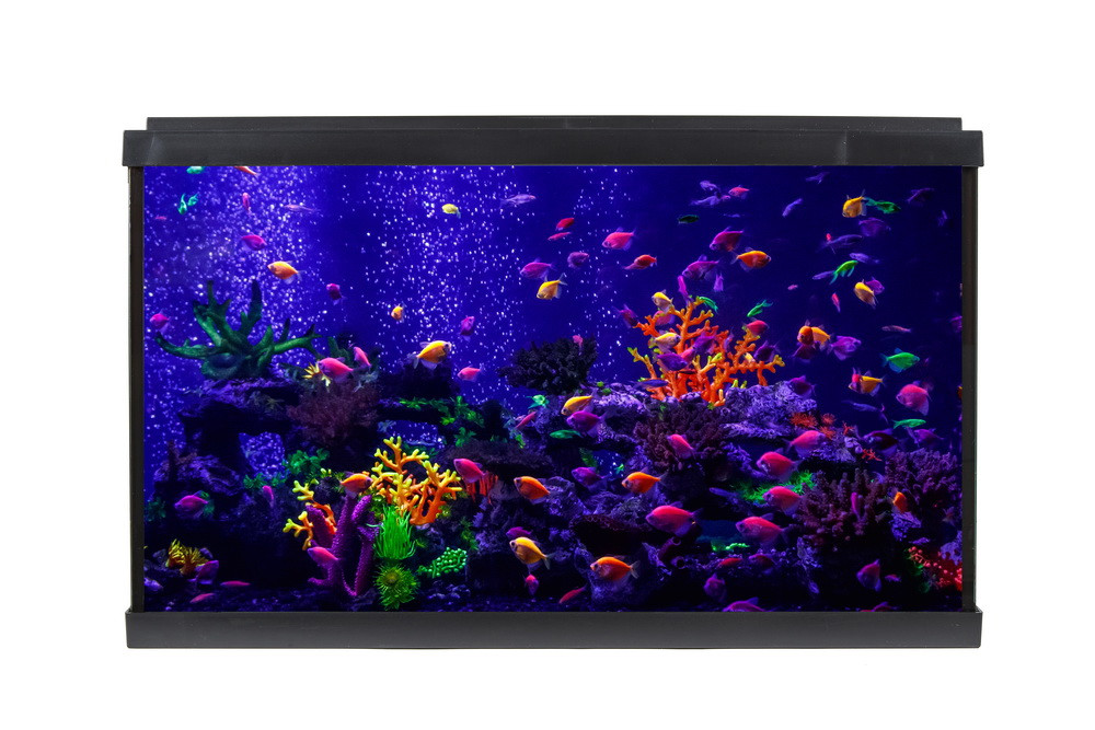 Акваріум Resun WPG 60 для GloFish, фільтр, світло LED 10W білий/місячний, 56л, 593х308х366 Київ - фото 1
