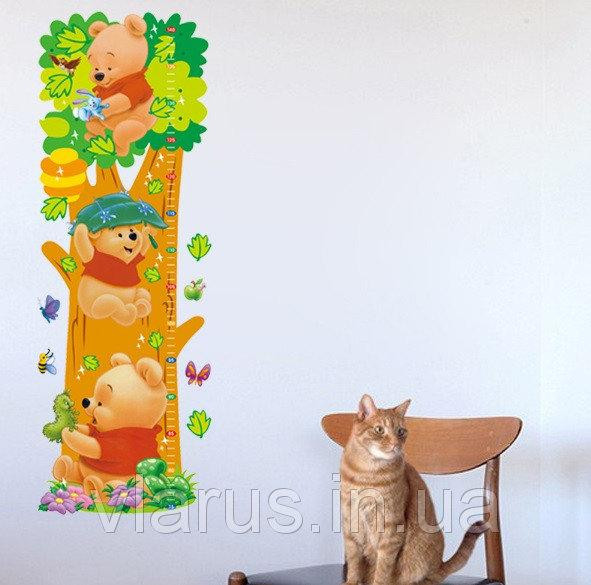 Наклейка ростомір на стіну Вінні Пух Київ - фото 4