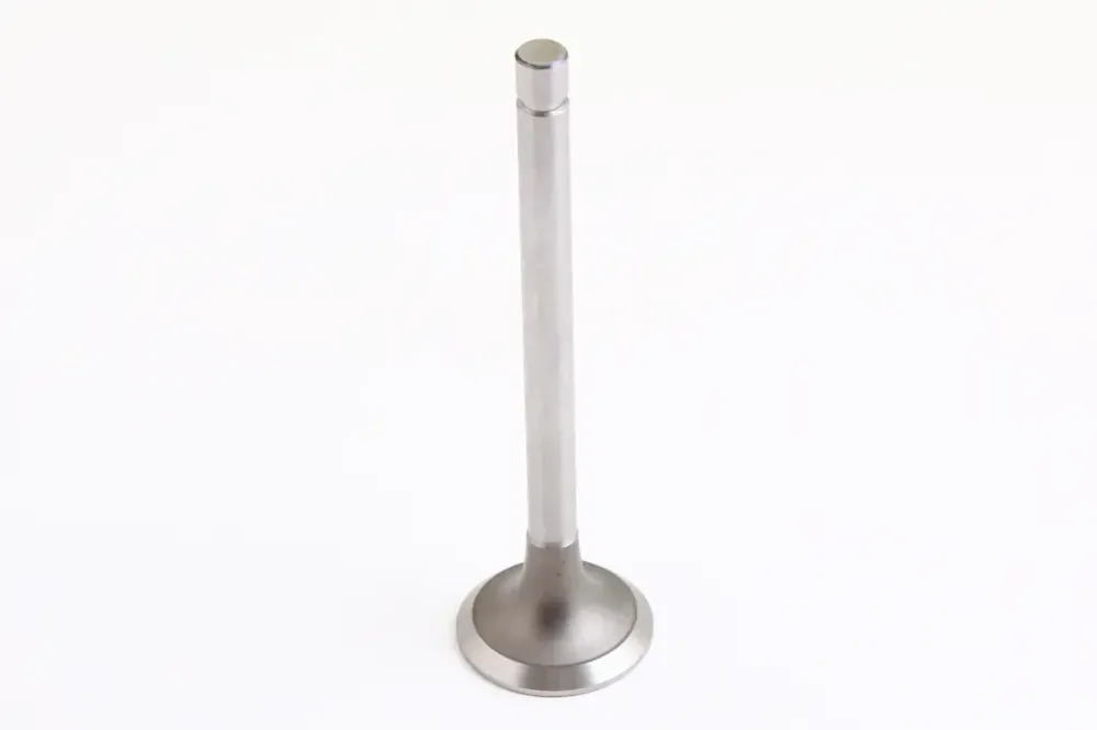 Клапан СМД-14/18/20/31 AMP випущений (1 шт.) (44.8*11 помножити на 157,8 мм) Вінниця - фото 1