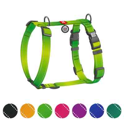 Шлей для собак WAUDOG Nylon Mono анатомическая H-образная с QR паспортом, пластиковый фастекс, L салатовая (54585) Винница
