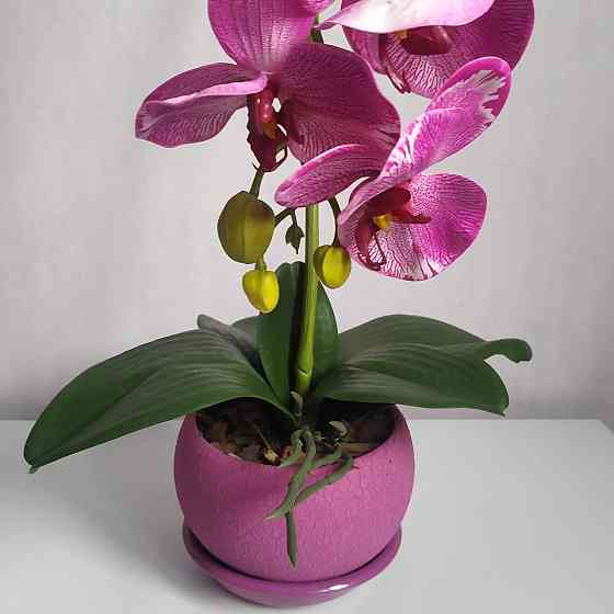 Штучна латексна орхідея VIP у бузковому керамічному кашпо на одну бузкову гілку Дніпро