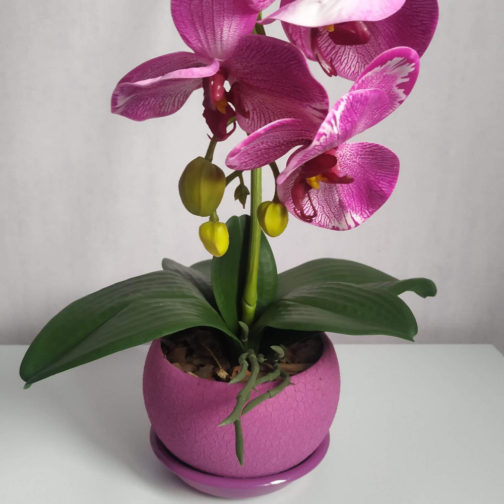 Штучна латексна орхідея VIP у бузковому керамічному кашпо на одну бузкову гілку Дніпро - фото 2