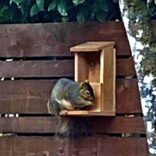 Годівниця для білок "Фундук" сієна Миколаїв - фото 2