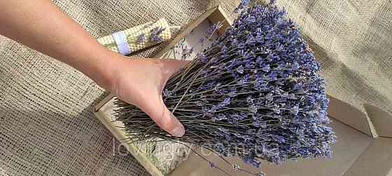 Веточки лаванды для творческих проектов, эстетического оформления товаров, подарков. Ирпень