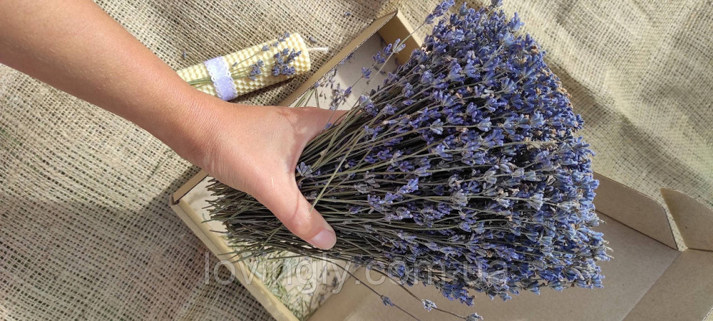 Гілочки лаванди для творчих проектів, естетичного оформлення товарів, подарунків. Ірпінь - фото 2