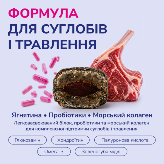 LK Baits Pet Nutrigel Lamb S-M Функціональні ласощі для собак для суглобів з ягням і пробіотиками (Ø 15 мм), 150 г Киев