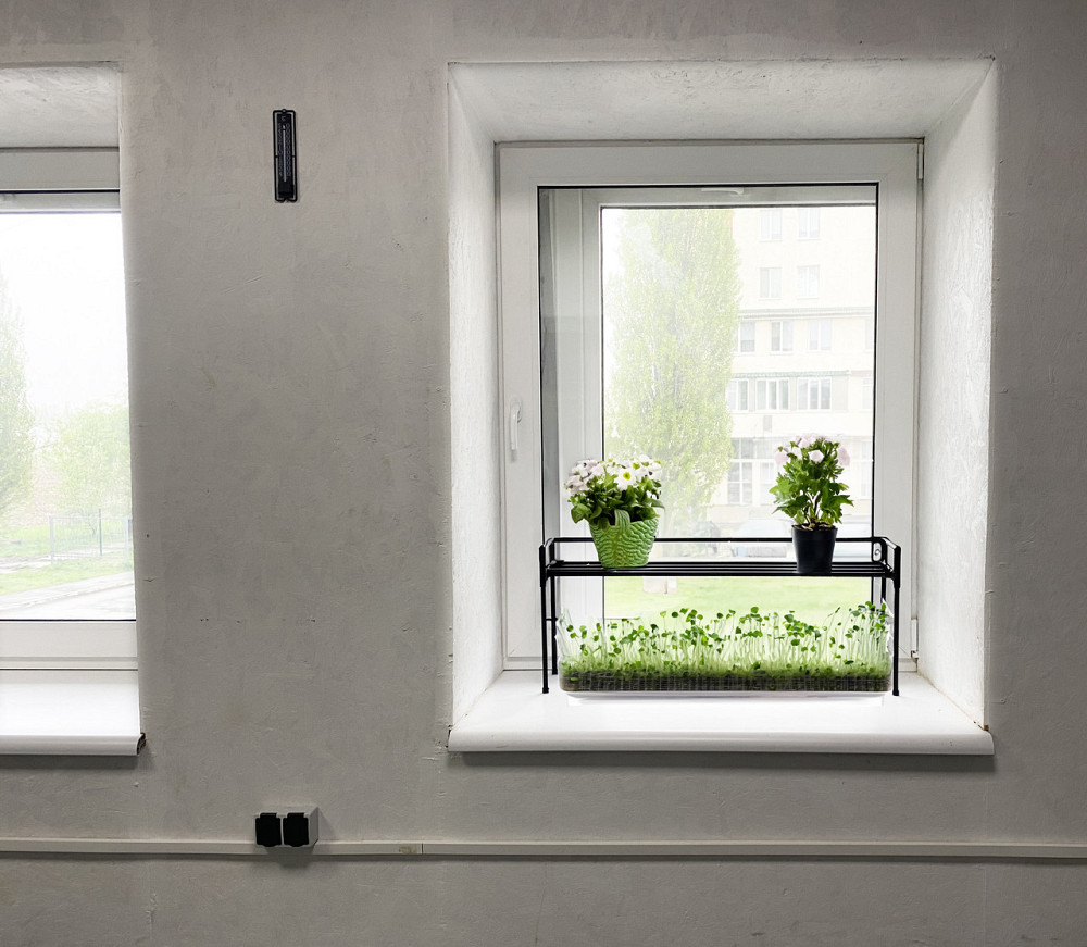 Підставка для квітів на підвіконня Lucia Black. Другий рівень для розсади, горщиків та зелені. Бориспіль - фото 7