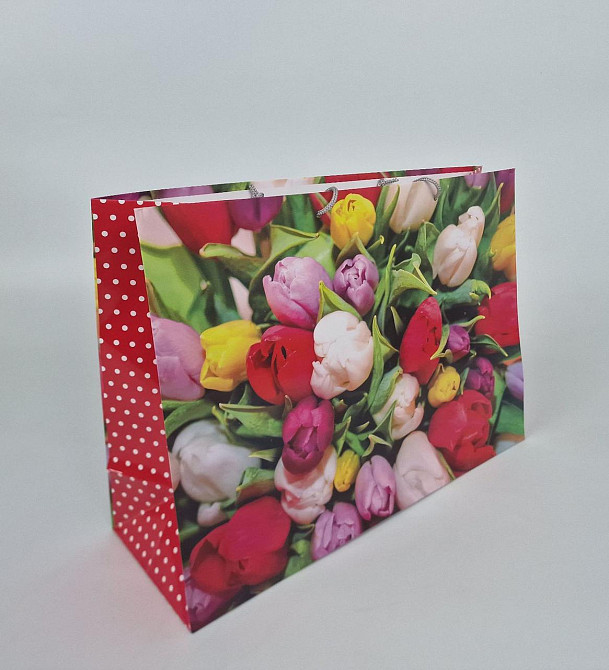 Бумажный пакет горизонтальный гигант 46*33*15 (артGG-020) (12 шт) Харьков - изображение 1