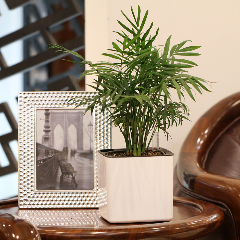 Горщик для квітів з системою автополиву XL 20 х 20 х 19,8 см Київ - фото 4