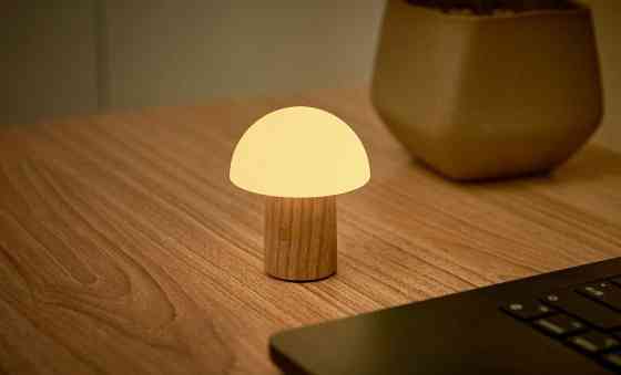 Світильник на акумуляторі Gingko Alice Mushroom Lamp Mini, білий попіл | G022AH2 Вінниця