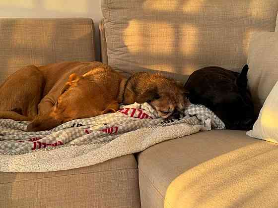 Жёсткий Диск SSD m2 NVME 1TB X-ray Pro. Киев