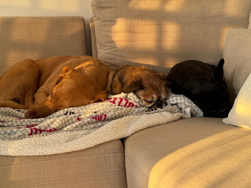 Жёсткий Диск SSD m2 NVME 1TB X-ray Pro. Киев - изображение 1