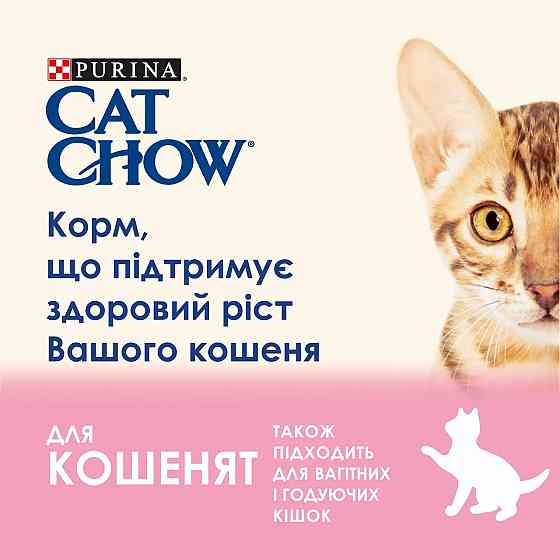 Вологий корм CAT CHOW Kitten для кошенят, шматочки в желе, з індичкою та цукіні, 85 г Київ
