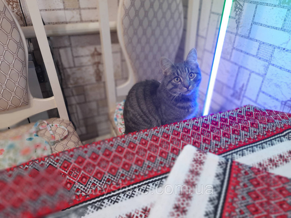 Червона скатертина вишита комплект Київ - фото 7