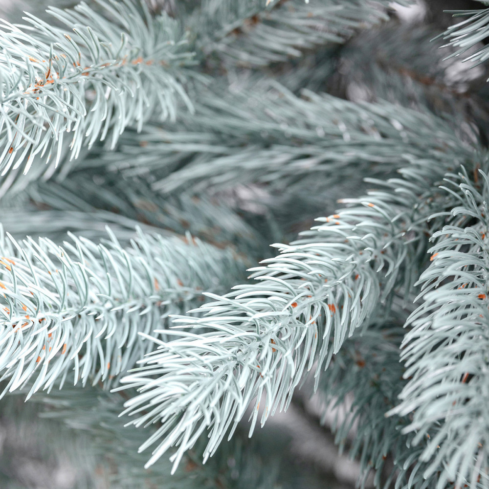 Голубая искусственная елка 1.8 м Говерла Киев - изображение 8