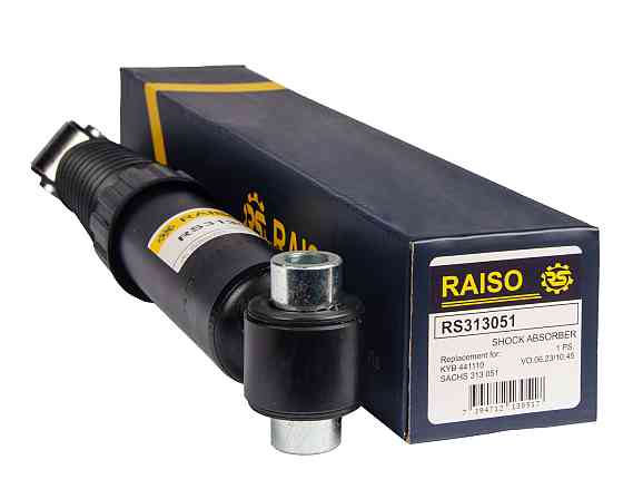 Амортизатор задній Raiso (Швеція) Peugeot 206/206+, Пежо 206/206+ 98- #RS313051 UAXFSIF22 Ковель