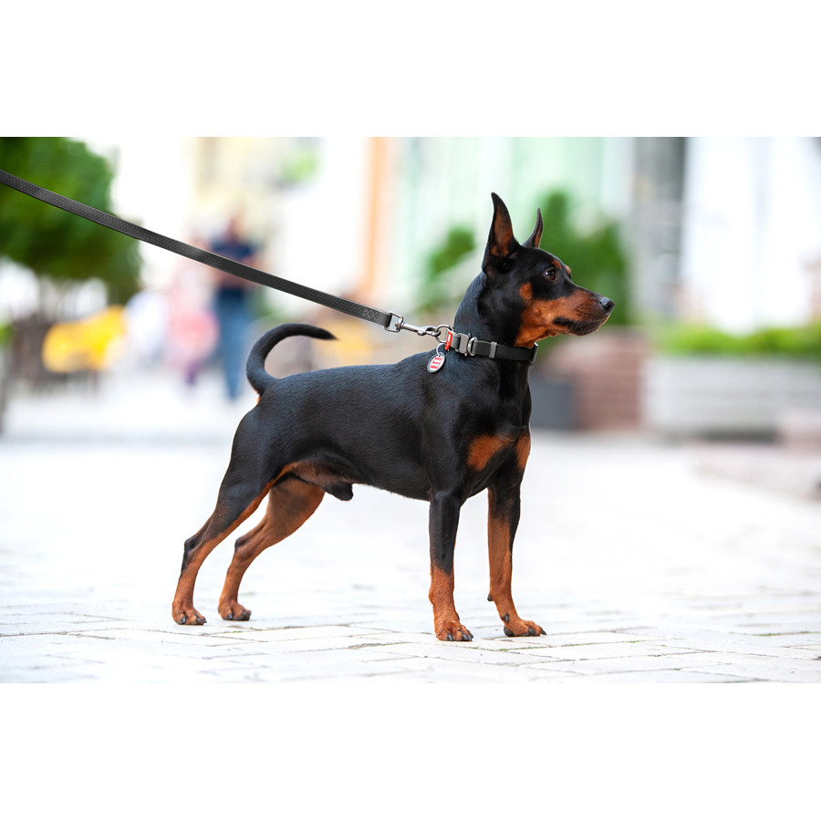 Нашийник для собак водостійкий WAUDOG Waterproof c QR паспортом, металічна пряжка-фастекс, Ш 25 Коломия - фото 3