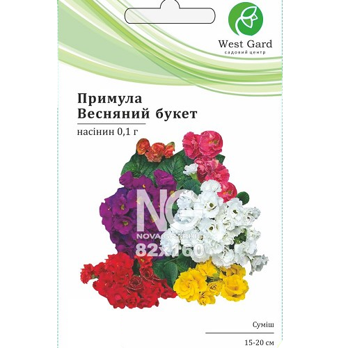 Примула (первоцвіт) Весняний букет WestGard Житомир