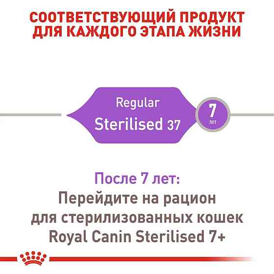 Роуал Canin Sterilised 37 (Рояв Канін Стерелайз) сухий корм для стерилізованих котів від 12 місяців до 7 років 10 кілограмів. Запоріжжя
