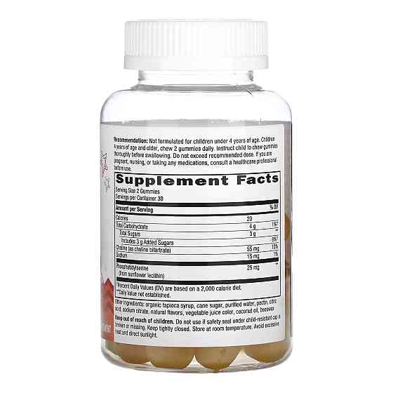 Для підтримки роботи мозку у дітей Nature's Way Brain Builder Gummy - 60 ct Луцьк