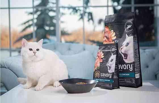 Сухой корм для котят Сейвори Savory со свежим мясом индейки и курицы, 400 г Винница