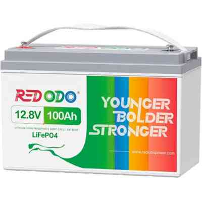 Батарея LiFePo4 Redodo 12.8V-100Ah (Redodo-12V100Ah-Sh) Винница