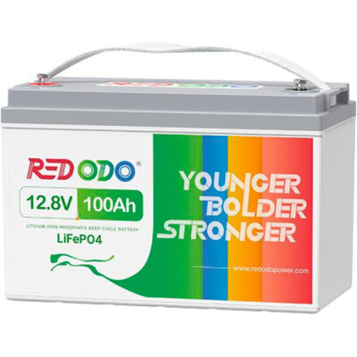 Батарея LiFePo4 Redodo 12.8V-100Ah (Redodo-12V100Ah-Sh) Винница - изображение 1