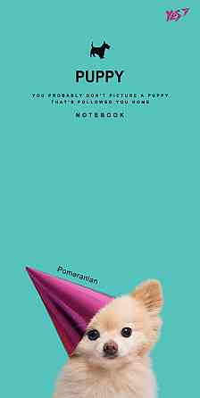 Блокнот "Yes" 100*200 64арк 151485 інтег. "Puppy ", шт Київ
