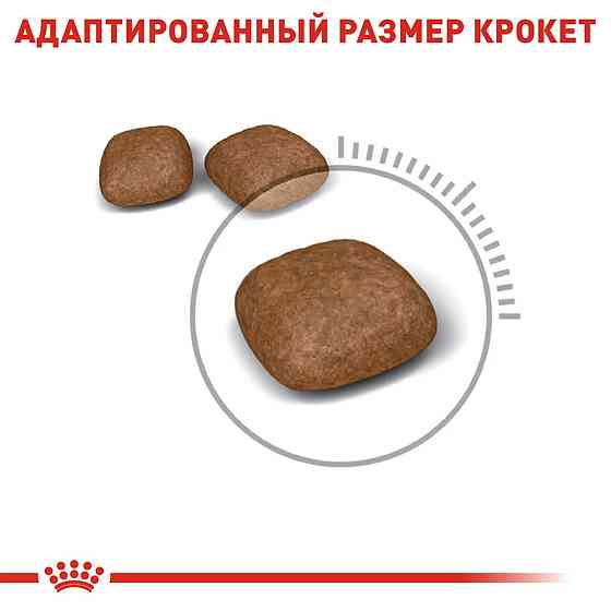 Royal Canin Urinary Care (Рояв Канін Урінарі Кер) сухий корм для котів для сечеробної системи від 12 міс 10 кілограмів. Запоріжжя