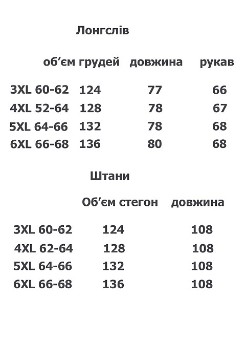 Пижама мужская брюки и лонгслив флис большая SN3014 5XL Киев - изображение 2