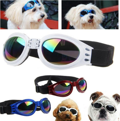 Очки для собак красные Киев - изображение 1