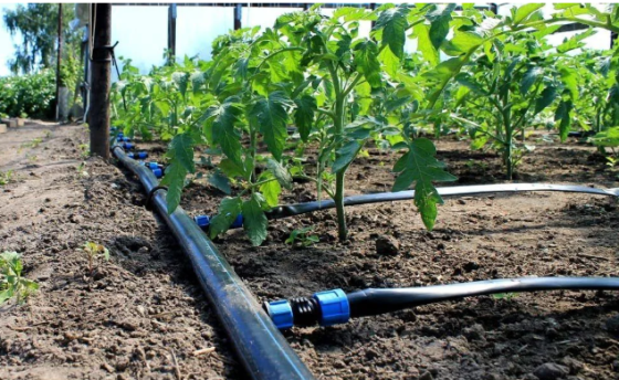 Заглушка для срічки крапельного поливу Дніпро