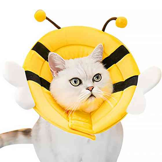 Мягкий воротник-подушка для кошек DT-613 послеоперационный защитный от вылизывания L Little Bee Київ