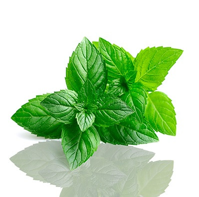 БІО-Паста зубна м'ятна з фтором для всієї родини SANTE 75 мл Київ - фото 2