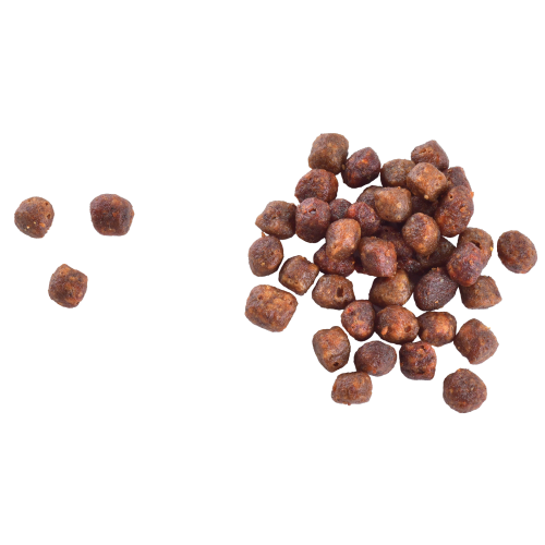 Корм сухой Brit Care Cat Grain Gentle Digestion Strong Immunity для котят для крепкого иммунитета с лососем 2 кг Киев