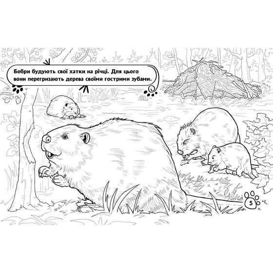 Дитяча розмальовка "Тварини у лісі" 583012, 16 сторінок Вінниця