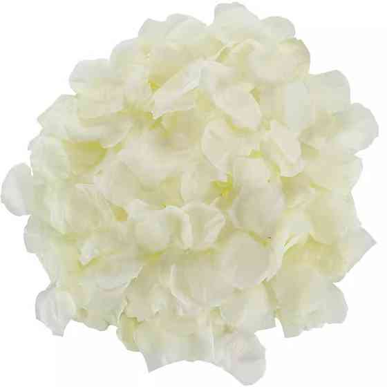 Пелюстки троянд штучні 100 штук 45 на 45 мм бежевий Київ