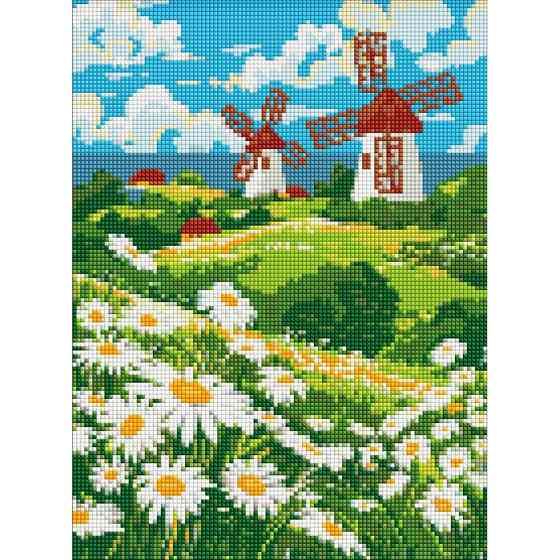 Алмазна мозаїка "Поле ромашок" ©art_selena_ua AMO8148, 30х40 см Вінниця