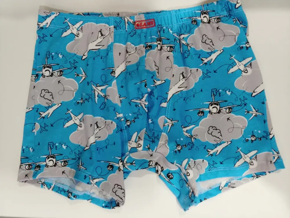 Труси чоловічі Шорти Lans 06/040 XXL, Літаки Київ - фото 3