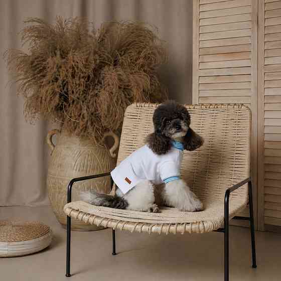 Футболка Pet Fashion Polo для собак XS Київ