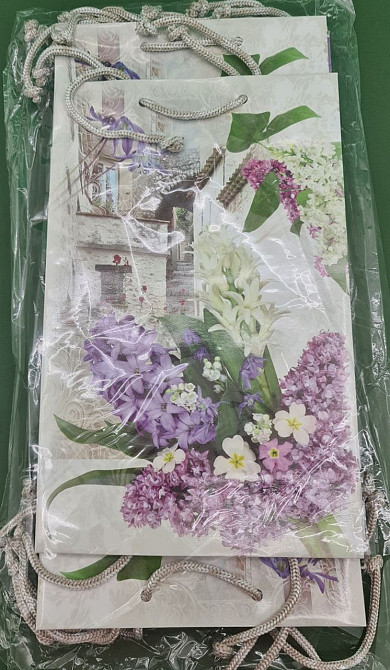 Паперовий пакет подарунковий Середній 17/26/8 (артSV-190) (12 шт.) Харків - фото 4